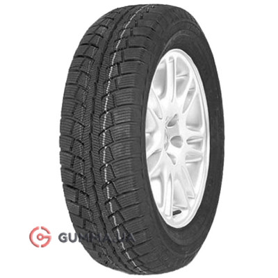 Зимняя шина Durun  D2009 205/65 R15 99T
