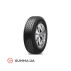 Всесезонная шина Radar  Argonite RVX-1 195/65 R16C 104/102R