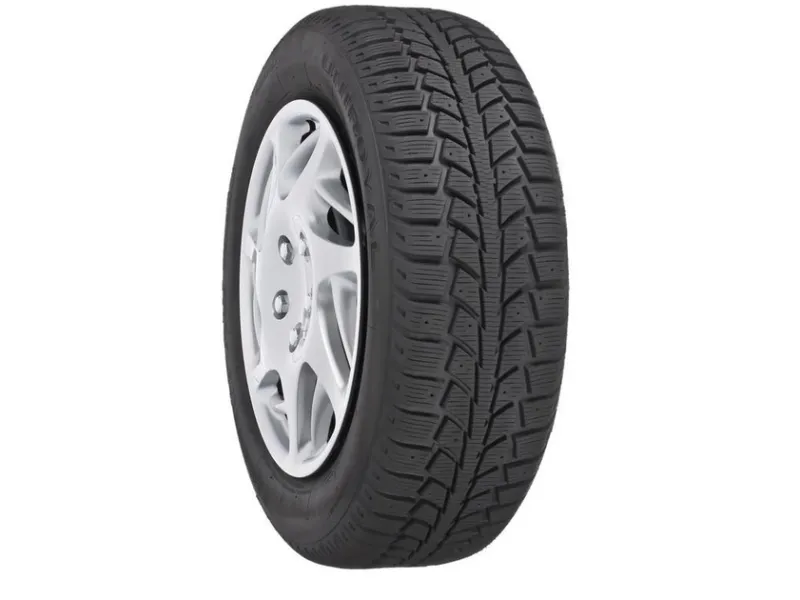 Tiger Paw Ice & Snow 2