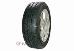 Зимняя шина Avon  Ice Touring 185/70 R14 88T