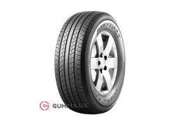 Летняя шина Deestone  Payak 007 H/T R601 225/55 R17 101H