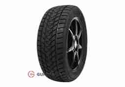 Delinte  Winter WD1 175/70 R14 88T