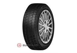 Зимняя шина Delinte  Winter WD2 195/70 R15C 104/102R