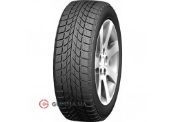 Зимняя шина Doublestar WINTERKING DW09 235/55 R17 99T