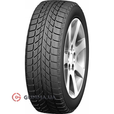Зимова шина Doublestar  WINTERKING DW09 275/40 R20 106V