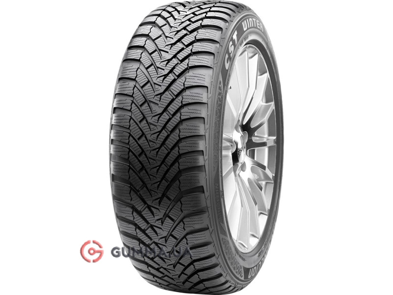 Medallion Winter WCP1