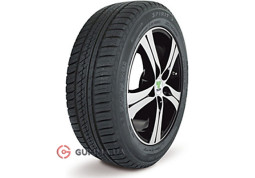 Зимняя шина ESA-Tecar  Spirit 3 185/60 R15 88H