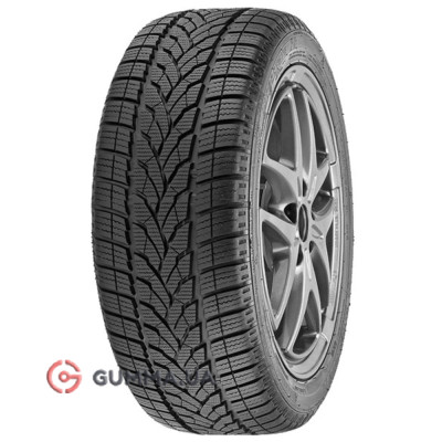 Зимняя шина Interstate  Winter IWT-2 Evo 195/65 R15 91T