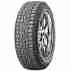 Зимняя шина Roadstone WinGuard WinSpike 225/60 R17 99T (шип)