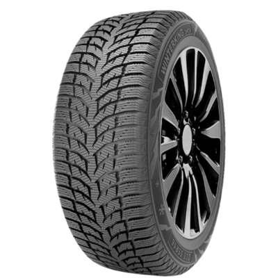 Зимова шина Doublestar WINTERKING DW08 215/65 R16 102H