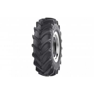Ascenso TDB 120 (с/х) 11.20 R24 116A8