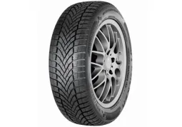 Зимова шина Falken Eurowinter HS02 195/65 R15 91H