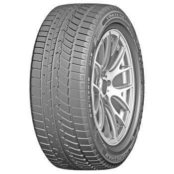 Зимова шина Fortune FSR-901 255/55 R19 111V