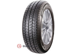 Зимняя шина Avon WT7 Snow 205/55 R16 91T
