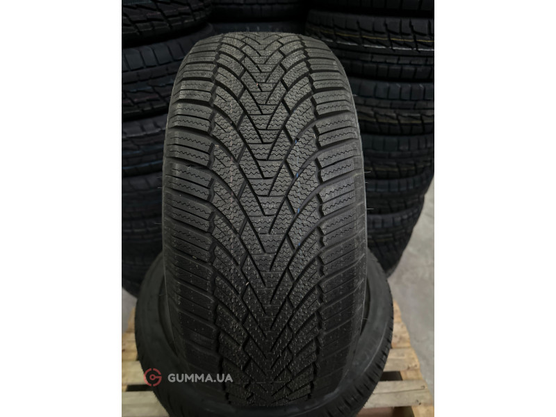Зимова шина Roadmarch WinterXPro 888 205/70 R15 96T