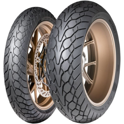 Летняя шина Dunlop Mutant M+S 190/55 R17 75W