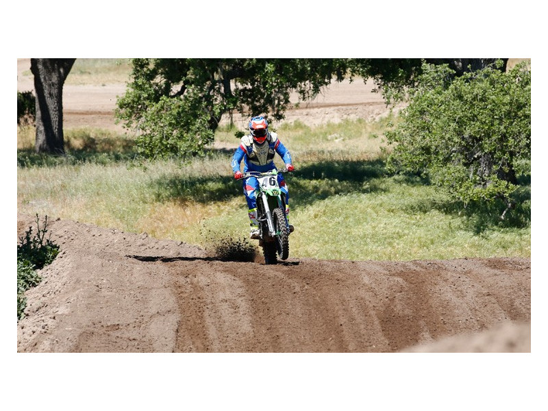 Лiтня шина Dunlop Geomax MX33 80/100 R12 41M