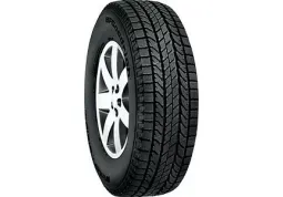 Зимняя шина BFGoodrich Winter Slalom KSI 245/70 R16 107S