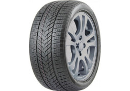 Зимова шина Roadmarch WinterXPro 999 255/45 R20 105V