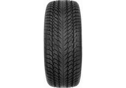 Зимова шина Fortuna Gowin UHP 2 225/45 R18 95V