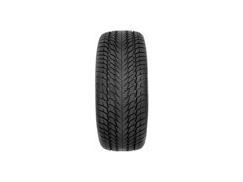Зимова шина Fortuna Gowin UHP 2 205/45 R17 88V