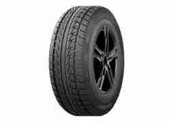 Зимова шина Arivo Winmaster ARW 1 205/55 R16 91H