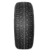 Зимняя шина Compasal Winter Stud 215/55 R17 98T (шип)