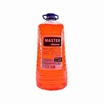 Омивач скла зимовий Master Cleaner лісова ягода -12C 4802648552 4л