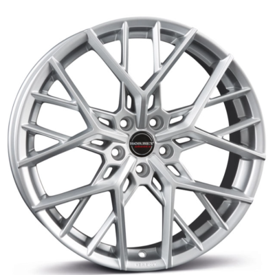 Диск Borbet BY W8.5 R21 PCD5x114.3 ET49 DIA67.1 SS