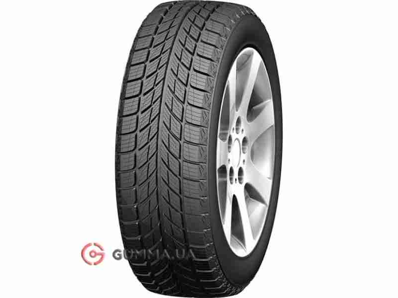 Зимова шина Doublestar WINTERKING DW09 275/45 R20 110H