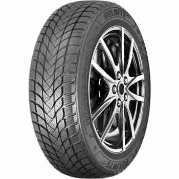 Зимняя шина Delinte Winter WD6 155/65 R13 73T