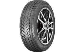 Зимова шина Delinte Winter WD6 195/45 R16 84H