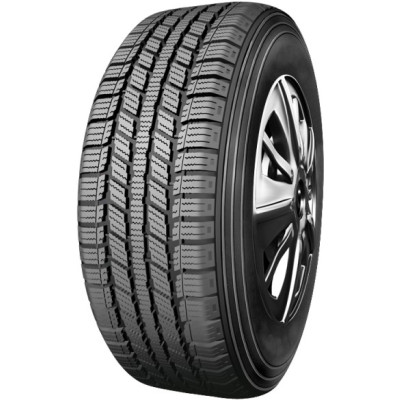 Зимняя шина Rotalla S110 205/55 R16 110S