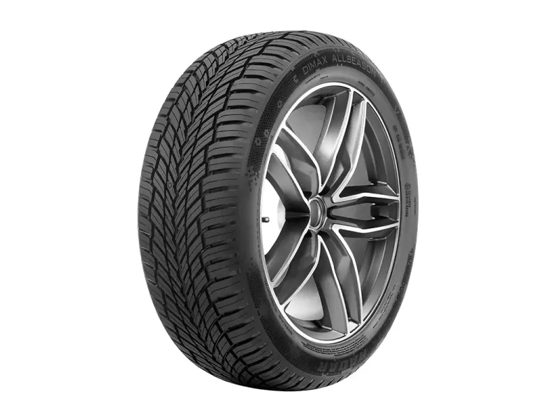 Всесезонная шина Radar Dimax All Season EVC 195/65 R15 95V