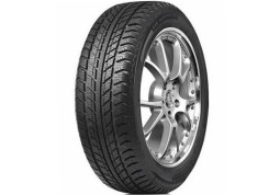 Зимова шина Austone SP-9 245/45 R19 102W