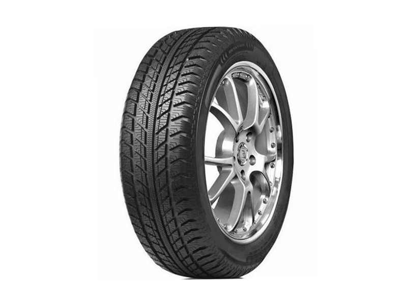 Зимова шина Austone SP-9 245/45 R19 102W