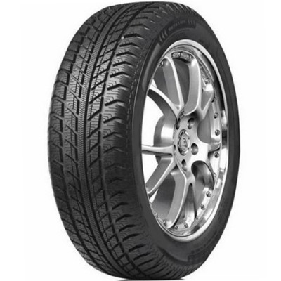 Зимова шина Austone SP-9 255/35 R19 96V