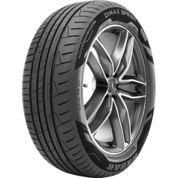 Летняя шина Radar Dimax Sprint 195/65 R15 91H