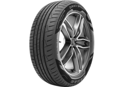 Літня шина Radar Dimax Sprint 195/55 R16 87H