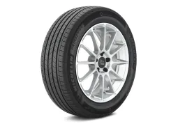 Літня шина Michelin Primacy A/S 245/45 R19 102V