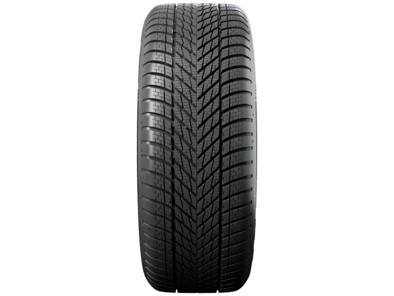 Зимова шина Dunlop Winter 195/65 R15 95T
