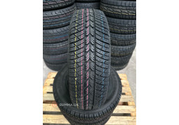 Зимова шина  Rosava WQ-101 175/70 R13 75T