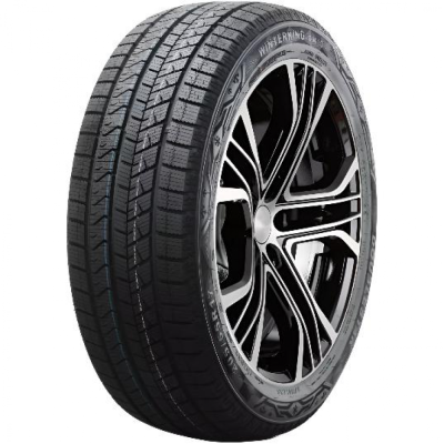 Зимняя шина Doublestar DW16 225/50 R18 99T