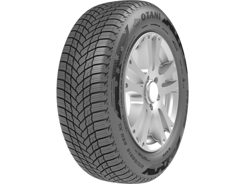 Зимняя шина Otani WE1000 195/65 R15 91H