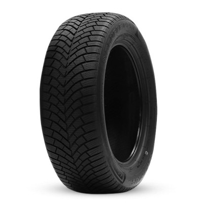 Всесезонная шина Double Coin DASP + (Plus) 225/55 R17 101W
