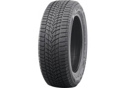 Зимова шина Nankang Ice Activa Ice-2 225/50 R18 99T