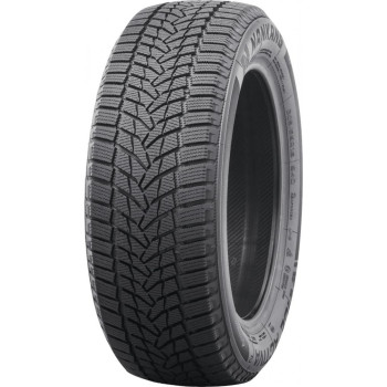 Зимова шина Nankang Ice Activa Ice-2 225/50 R18 99T