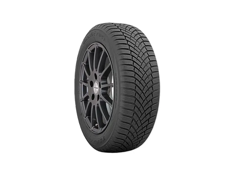 Зимняя шина Toyo Observe EWS1 205/55 R16 91H