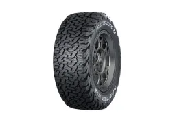 Всесезонна шина RYDANZ Raptor R19 265/65 R17 120/117S