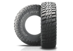 Всесезонная шина Nankang NK Sport Conqueror M/T 285/50 R20 119/116Q